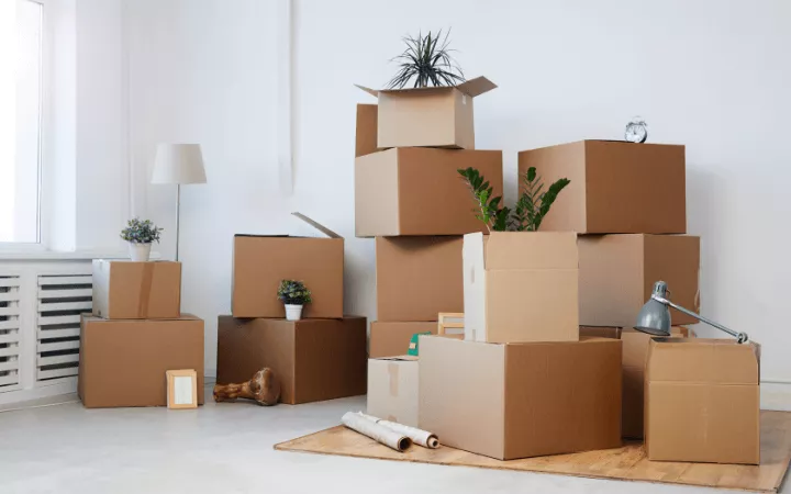 Przeprowadzki lokalne